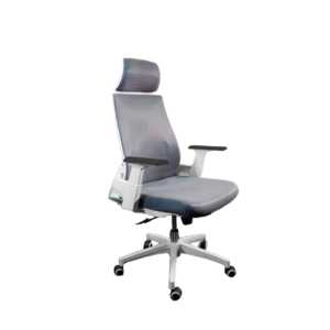 Ergo Vivid Pro